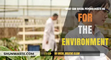 Social Psychology's Role in Fostering Environmental Conservation and Sustainability