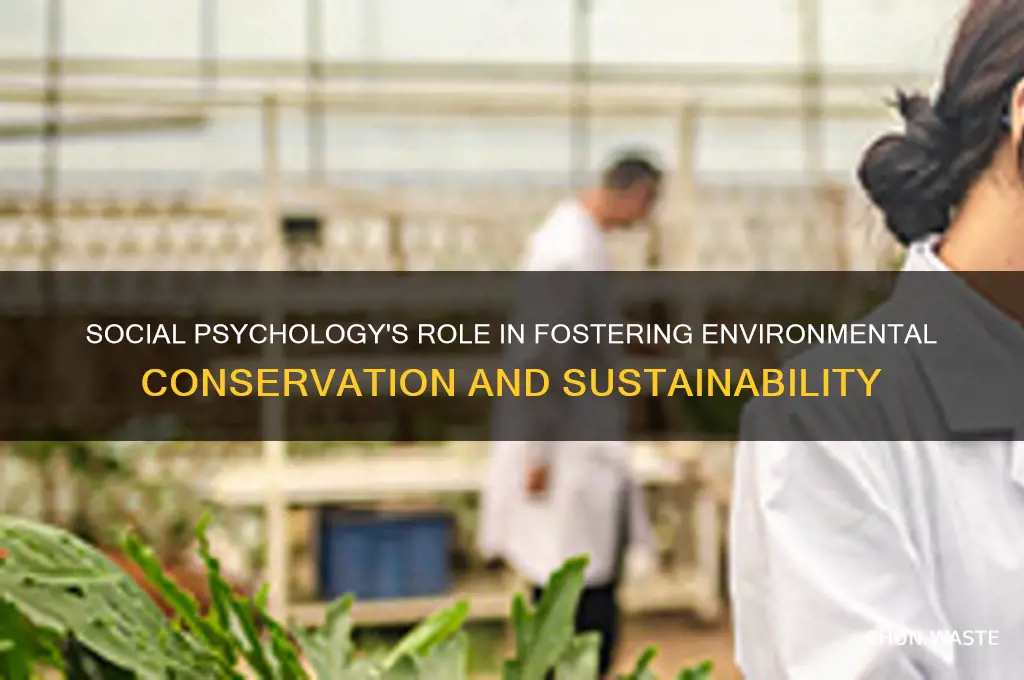 what can social psychologists do for the environment
