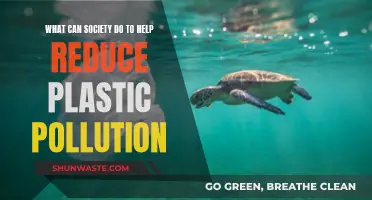 Society's Role in Reducing Plastic Pollution