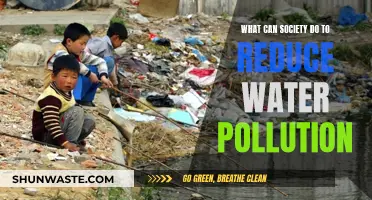 Society's Role in Reducing Water Pollution