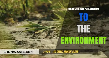Soil Pollution's Devastating Impact on Ecosystems and Human Health