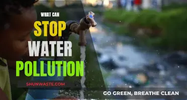 Strategies to Combat Water Pollution: A Comprehensive Guide