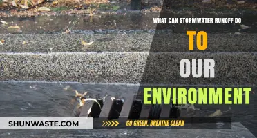 Stormwater Runoff's Devastating Impact on Ecosystems and Water Quality