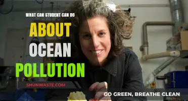 Ocean's Future: Empowering Students to Fight Pollution