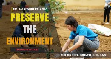 Eco-Friendly Actions: How Students Can Protect Our Planet Daily