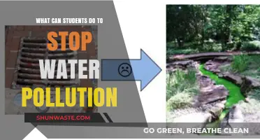 Students' Simple Steps to Save Our Water: Stop Pollution Now!