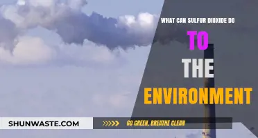 Sulfur Dioxide's Environmental Impact: Air, Water, and Ecosystem Effects