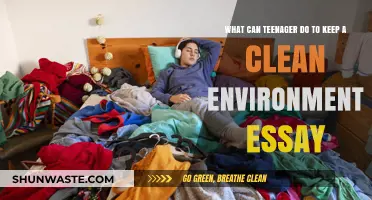 Teenagers' Role in Preserving a Clean Environment: Simple Actions, Big Impact