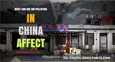 Air Pollution's Impact: From Health to Economy in China