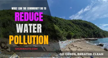 Community Action for Cleaner Water