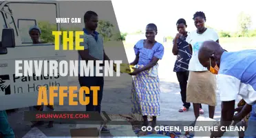 How Environmental Factors Shape Our Health, Economy, and Daily Lives