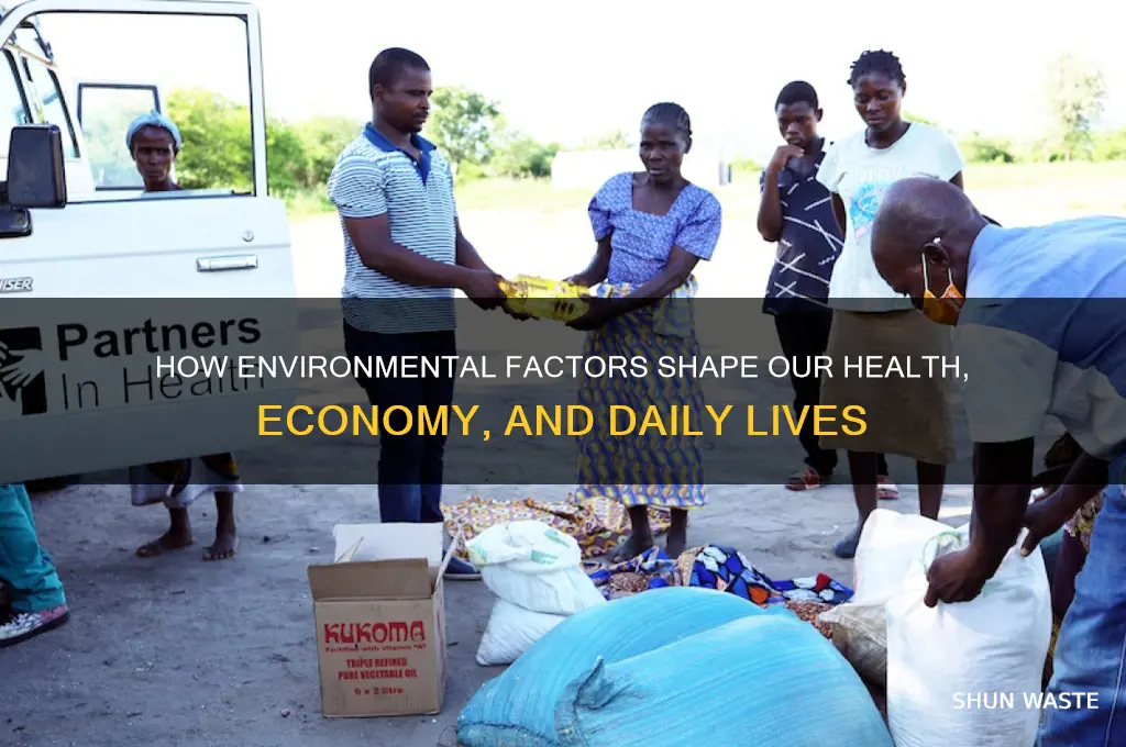 what can the environment affect