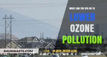 EPA's Role in Reducing Ozone Pollution: Strategies and Solutions