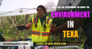 Texas Environmental Action: Government Strategies for a Sustainable Future