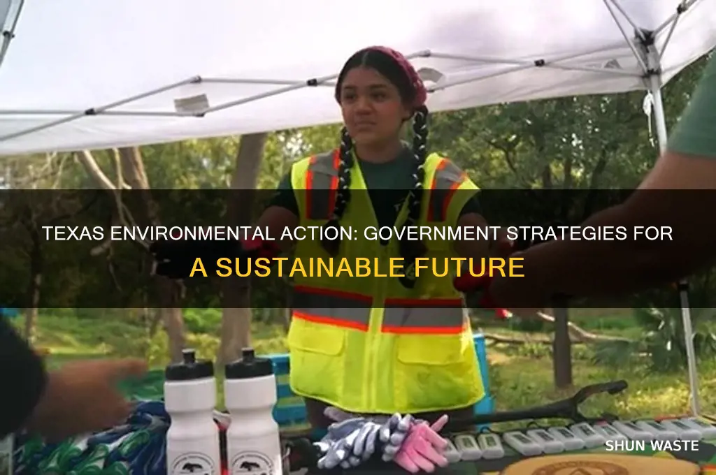 what can the government do about the environment in texa