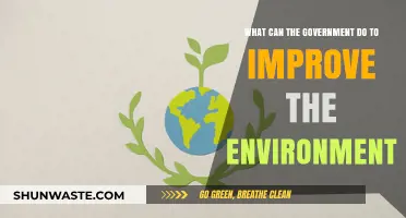 Government Action: Key Strategies to Enhance Environmental Sustainability