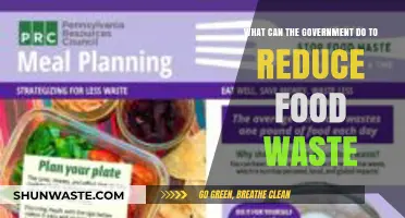 Tackling Food Waste: Strategic Government Initiatives for a Sustainable Future