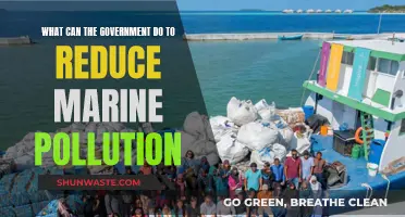 Combating Marine Pollution: Government Strategies for Cleaner Oceans