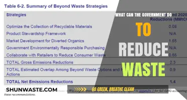 Empowering Sustainability: Government Strategies to Minimize Waste