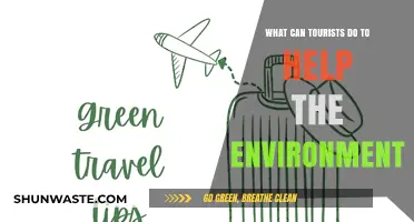 Eco-Friendly Travel Tips: How Tourists Can Protect Our Planet