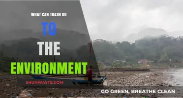 Trash's Toxic Impact: How Waste Destroys Ecosystems and Pollutes Our Planet
