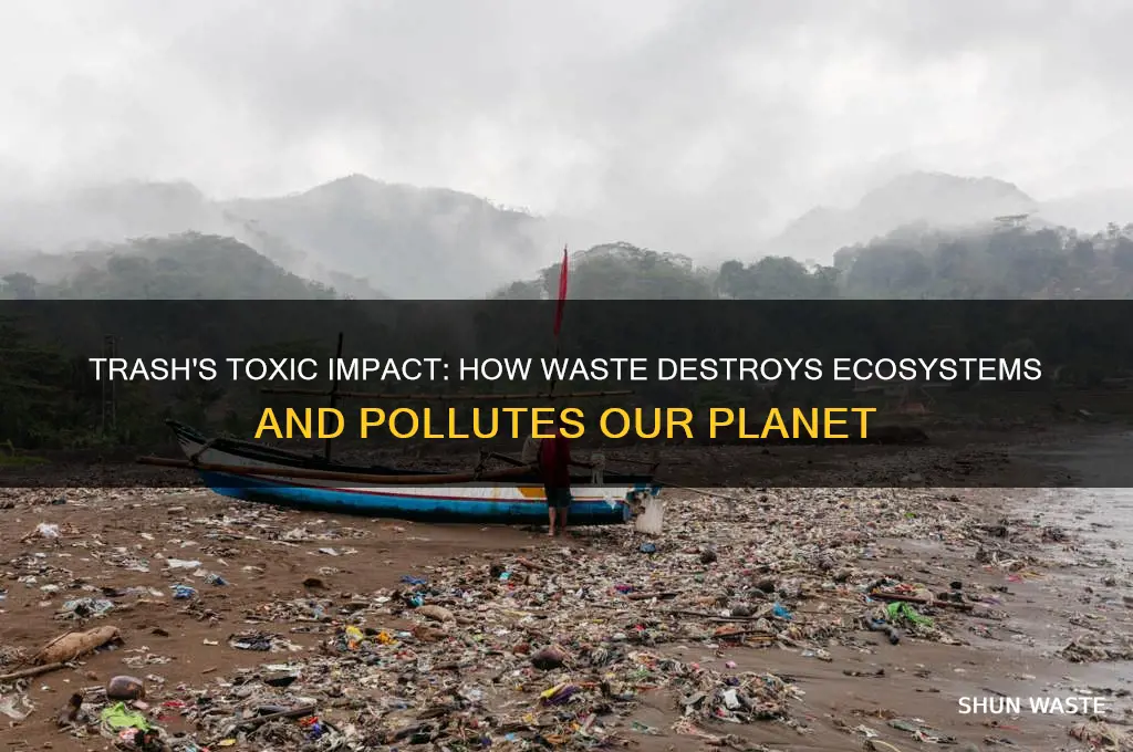 what can trash do to the environment