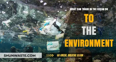Ocean Trash Crisis: Devastating Environmental Impacts and Urgent Solutions Needed