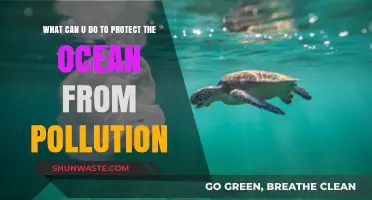 Ocean Guardians: Simple Steps to Keep Our Seas Clean