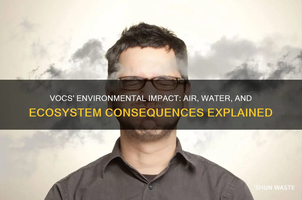 what can vocs do to the environment
