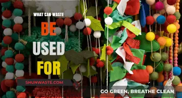 From Trash to Treasure: Innovative Uses for Everyday Waste