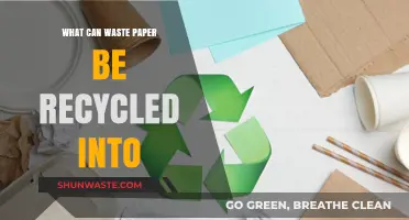 From Trash to Treasure: The Amazing Recycling Journey of Waste Paper