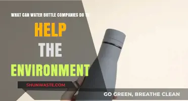 Eco-Friendly Innovations: How Water Bottle Companies Can Protect Our Planet