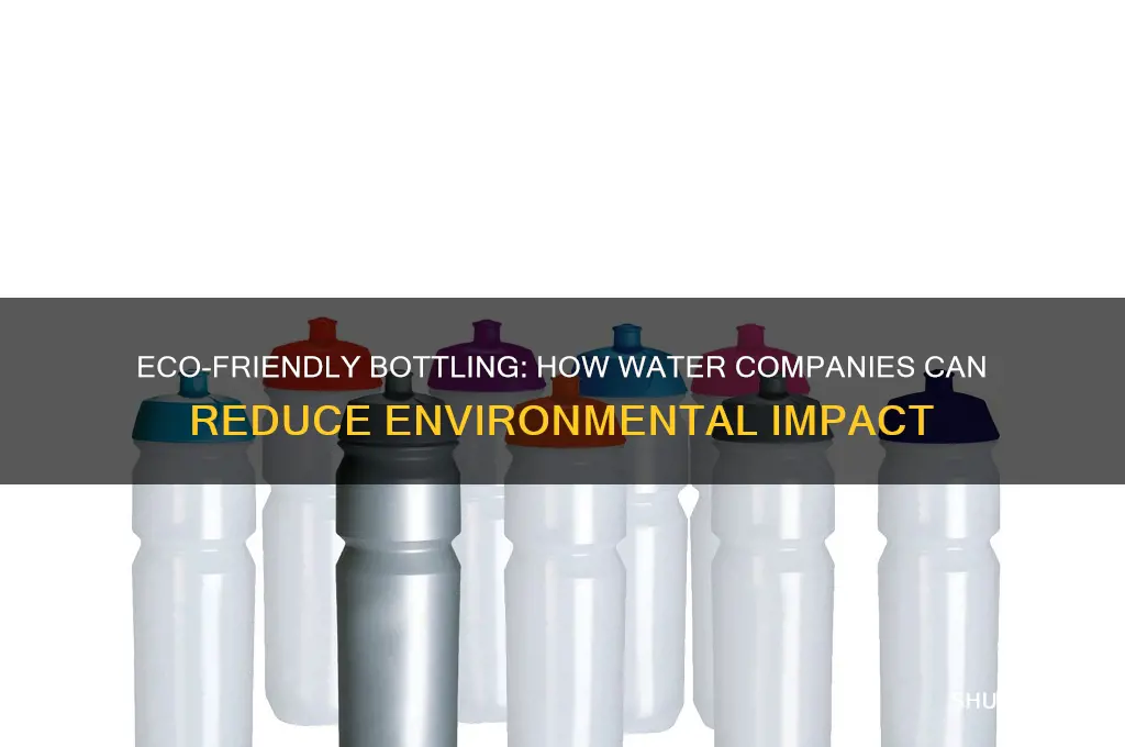 what can water bottled companies do to help the environment