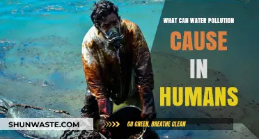 Unseen Dangers: Water Pollution's Impact on Human Health