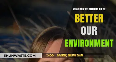 Empowering Citizens: Practical Steps to Protect and Restore Our Environment