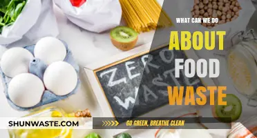Combatting Food Waste: Practical Steps for a Sustainable Future