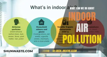 Improving Indoor Air Quality: Simple Steps to Breathe Easier