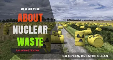 Managing Nuclear Waste: Strategies for a Sustainable Future
