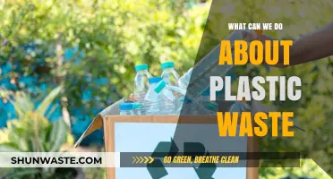 Combatting Plastic Pollution: Practical Steps for a Sustainable Future