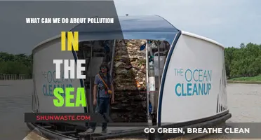 Ocean's Future: Solutions to Combat Marine Pollution