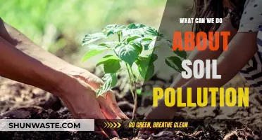 Soil Savvy: Strategies to Combat Pollution and Restore Earth