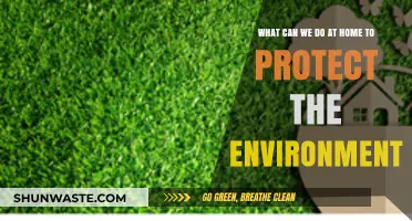 Eco-Friendly Home Habits: Simple Steps to Protect Our Planet