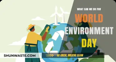Sustainable Actions for World Environment Day: Simple Steps, Big Impact
