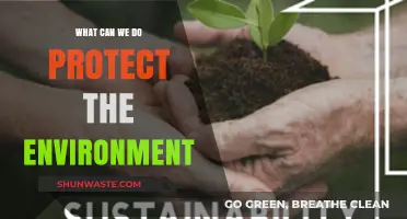 Sustainable Actions: Practical Steps to Protect Our Environment Effectively