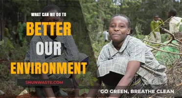 Sustainable Steps: Practical Ways to Protect and Improve Our Environment