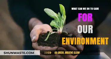 Sustainable Living: Practical Steps to Protect and Preserve Our Environment