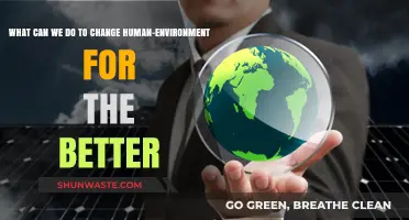 Transforming Our World: Sustainable Actions for a Healthier Human-Environment Future