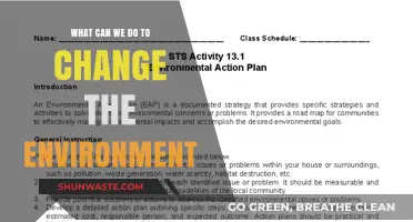 Transforming Our Planet: Practical Steps to Change the Environment