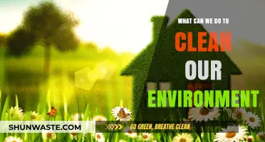 Sustainable Steps: Practical Ways to Clean and Protect Our Environment