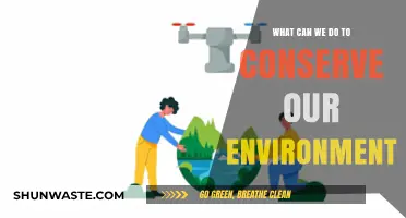 Sustainable Steps: Practical Ways to Protect and Preserve Our Environment